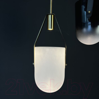 Потолочный светильник Imperiumloft 40.2332 / 123601-22