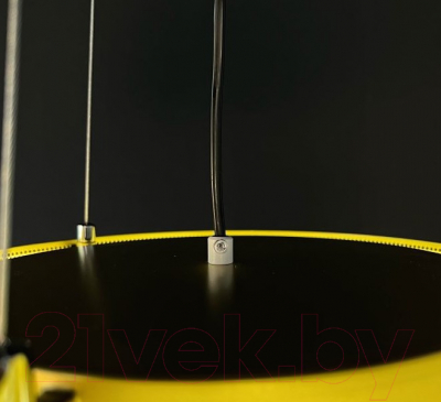 Потолочный светильник Imperiumloft CASING01 / 189561-26