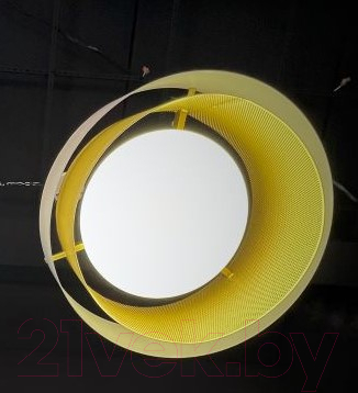 Потолочный светильник Imperiumloft CASING01 / 189561-26