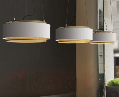 Потолочный светильник Imperiumloft CASING01 / 189561-26