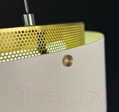 Потолочный светильник Imperiumloft CASING01 / 189561-26