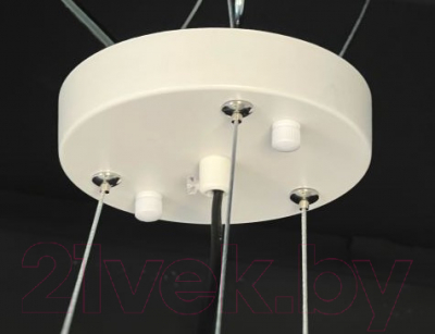 Потолочный светильник Imperiumloft CASING01 / 189561-26