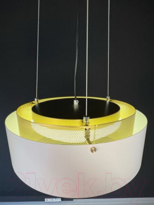 Потолочный светильник Imperiumloft CASING01 / 189561-26