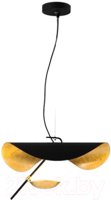 Потолочный светильник Imperiumloft COVERT01 / 140621-26 - фото