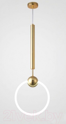 Потолочный светильник Imperiumloft RING01 / 178407-26 - фото