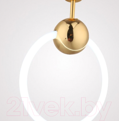 Потолочный светильник Imperiumloft RING01 / 178407-26