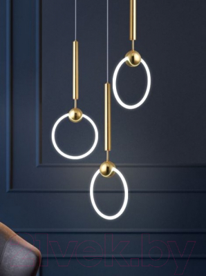 Потолочный светильник Imperiumloft RING01 / 178407-26