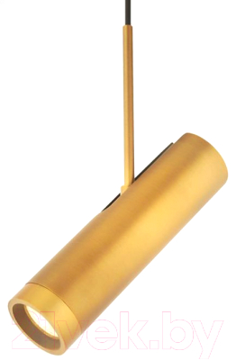 Потолочный светильник Imperiumloft TALSI-ONE01 / 151862-26 - фото