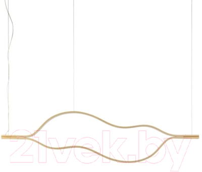 Потолочный светильник Imperiumloft 1493221-49 / 177933-49