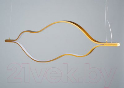 Потолочный светильник Imperiumloft 1493221-49 / 177933-49