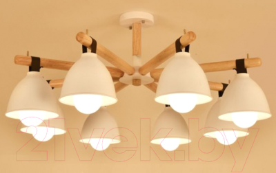 Люстра Imperiumloft FLAN01 / 178010-26