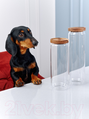 Емкость для хранения No Brand CD011-L