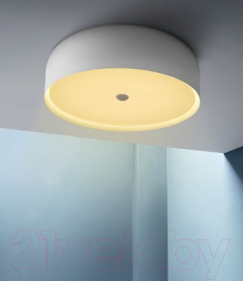 Потолочный светильник Imperiumloft CYLINDER01 / 178351-26