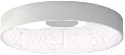 Потолочный светильник Imperiumloft ECLA01 / 189550-26 - фото