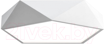 Потолочный светильник Imperiumloft GEOMETRIC-BW01 / 185382-26 - фото