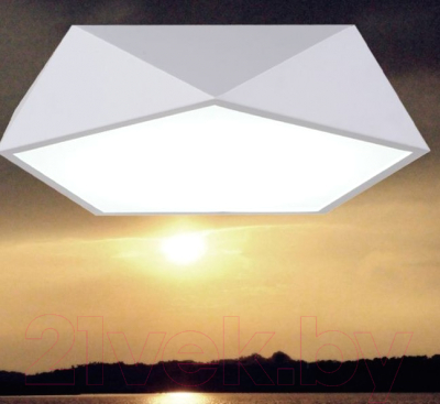 Потолочный светильник Imperiumloft GEOMETRIC-BW01 / 185382-26