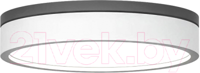 Потолочный светильник Imperiumloft KIER01 / 101707-26 - фото