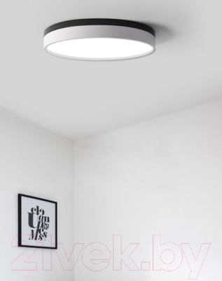 Потолочный светильник Imperiumloft KIER01 / 101707-26