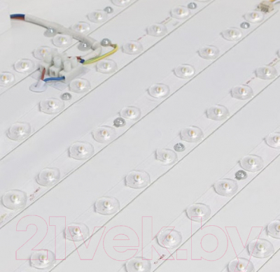 Потолочный светильник Imperiumloft KIER01 / 181018-26