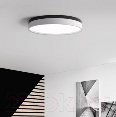 Потолочный светильник Imperiumloft KIER01 / 181018-26