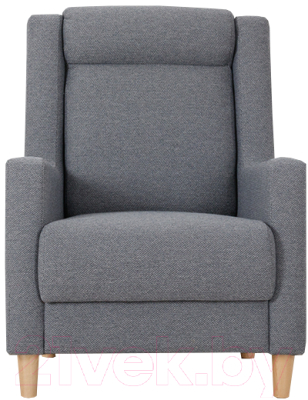 Кресло мягкое Нижегородмебель и К Дилан ТД 423 - фото