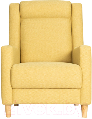 Кресло мягкое Нижегородмебель и К Дилан ТД 424 - фото