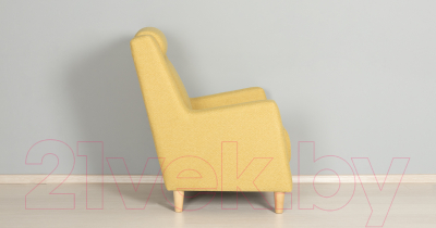 Кресло мягкое Нижегородмебель и К Дилан ТД 424