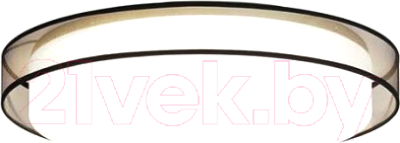 Потолочный светильник Imperiumloft VEDUM01 / 179851-26 - фото