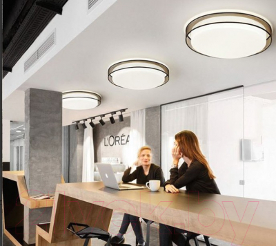 Потолочный светильник Imperiumloft VEDUM01 / 179851-26