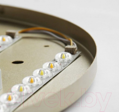 Потолочный светильник Imperiumloft VEDUM01 / 179851-26