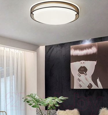 Потолочный светильник Imperiumloft VEDUM01 / 179851-26