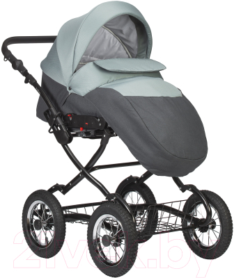 Детская универсальная коляска INDIGO Charlotte Sity Classic 12