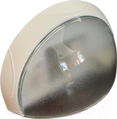 Светильник ЖКХ ВЕРТЕКС Полумесяц / ДБО 09-8-040 - фото