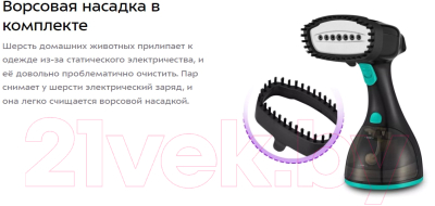 Отпариватель Kitfort KT-9121-3 (черный/бирюзовый)