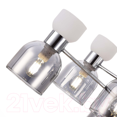 Люстра Evoluce SLE1045-102-06