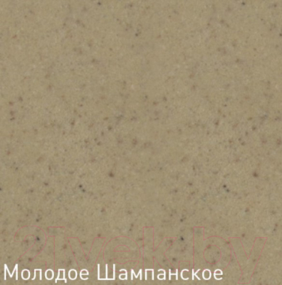 Мойка кухонная Zigmund & Shtain Rechteck 780.490