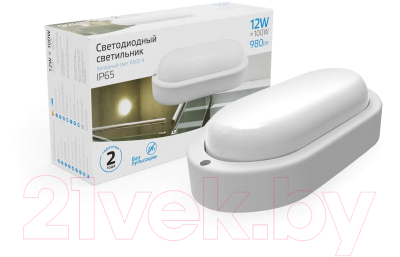 Светильник ЖКХ Gauss Elementary 161411312