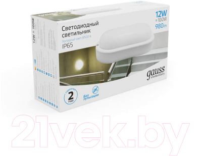 Светильник ЖКХ Gauss Elementary 161411312