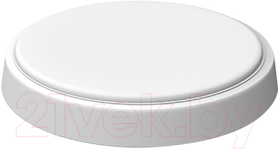 Светильник ЖКХ Gauss Hall 193411208 - фото