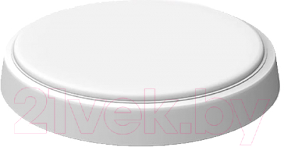 Светильник ЖКХ Gauss Hall 193411308 - фото