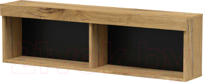 Полка Интерлиния Quartz QZ-П1 (дуб нокс/черный) - фото