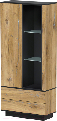 Шкаф Интерлиния Quartz QZ-ШК1 (дуб нокс/черный) - фото