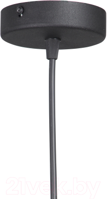 Потолочный светильник Vitaluce V2943-1/1S