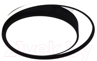 Потолочный светильник Евросвет 90251/1 (черный) - фото