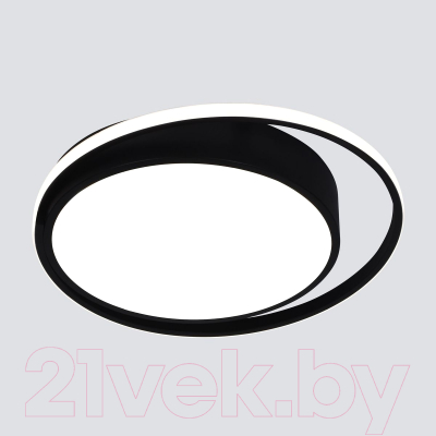 Потолочный светильник Евросвет 90251/1 (черный)