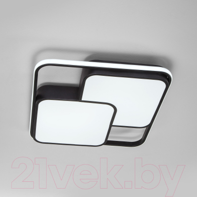 Потолочный светильник Евросвет 90253/1 (черный)