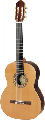 Акустическая гитара Hora N1014 - фото