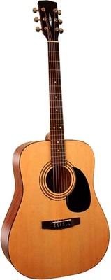 Акустическая гитара Parkwood W81-WBAG-OP - фото