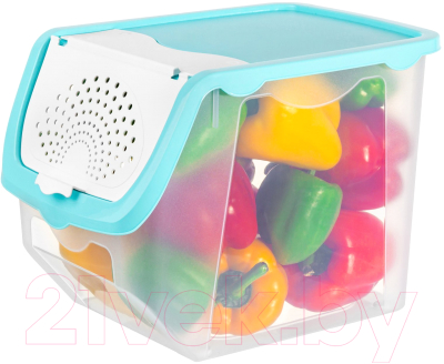 Емкость для хранения El Casa 640137 (прозрачный/бирюзовый)
