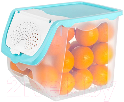 Емкость для хранения El Casa 640137 (прозрачный/бирюзовый)